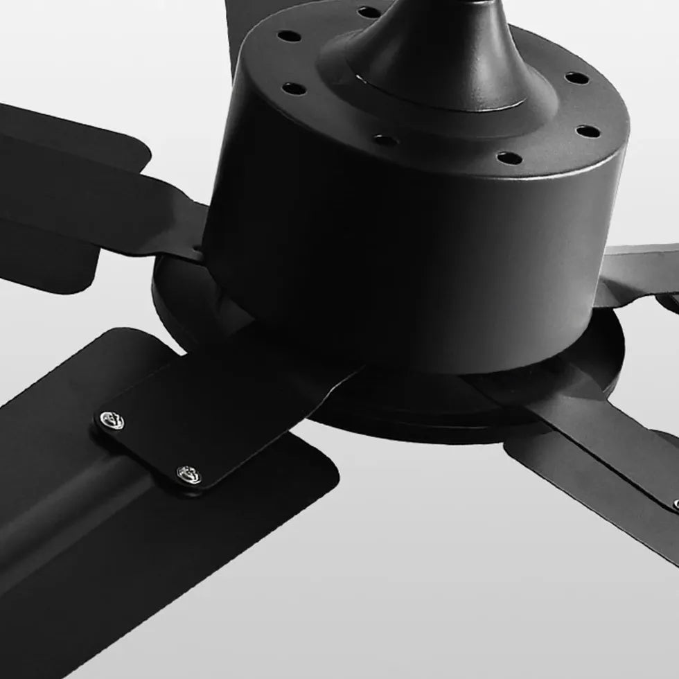 Black Ceiling Fan With Light For Study Room Alessio Metal & Acrylic