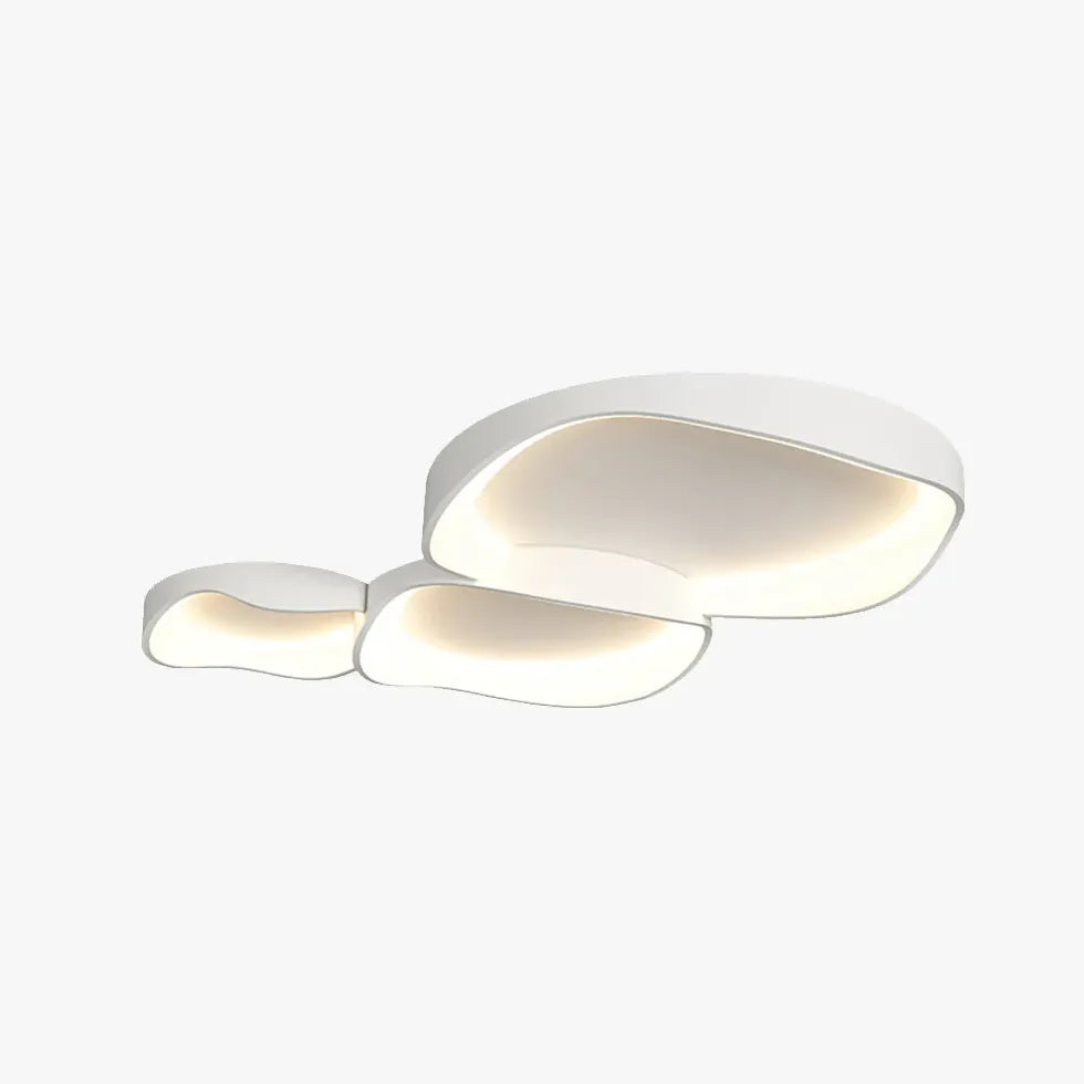 Flush Light For Bedroom Arisha Metal & Acrylic Led