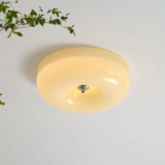 Low Ceiling Light For Study Room Hailie Glass Led Ip20 Dimmable