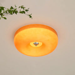 Low Ceiling Light For Study Room Hailie Glass Led Ip20 Dimmable