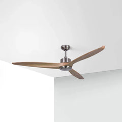 Black Ceiling Fan With Light For Study Room Haydn Metal