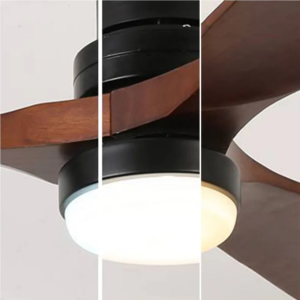 Black Ceiling Fan With Light For Bedroom Haydn Metal Ip20