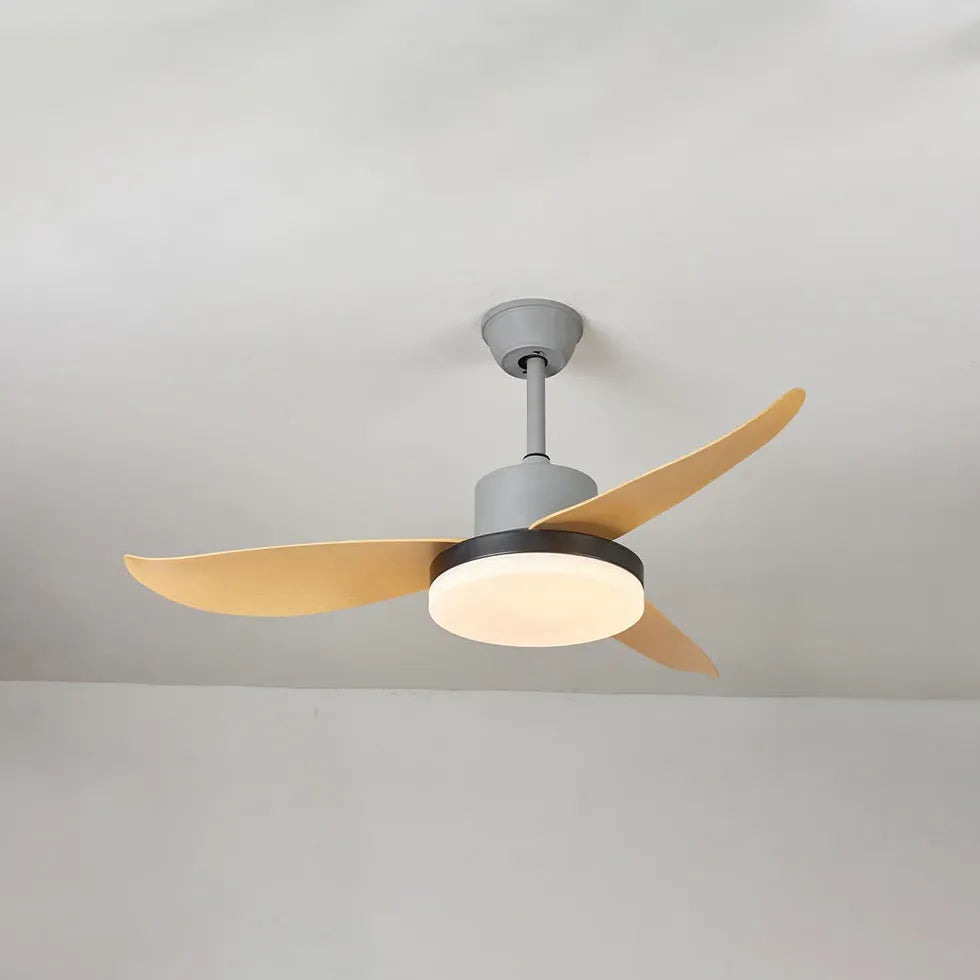 Ceiling Fan With Light For Study Room Haydn Metal Ip20 Led