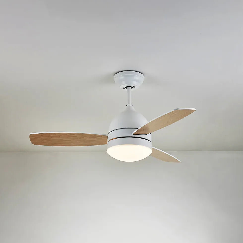 Ceiling Fan With Light For Study Room Haydn Metal Led Dimmable