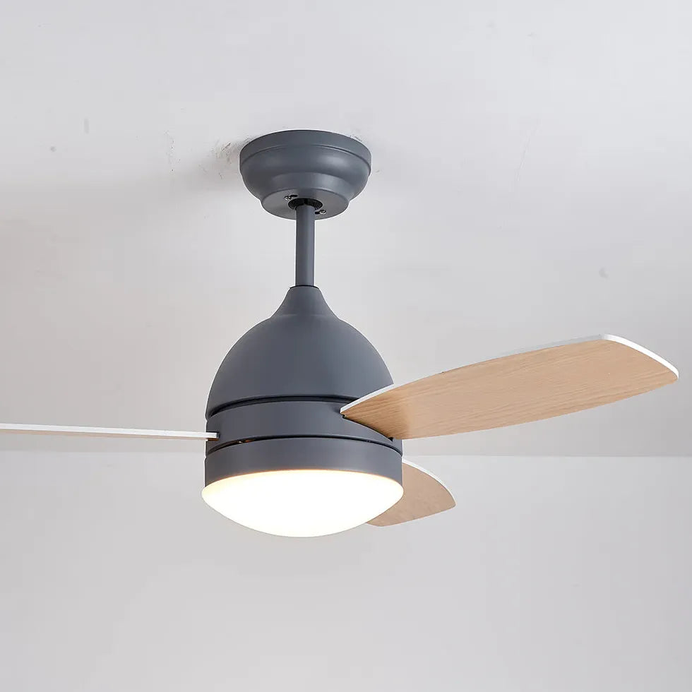 Ceiling Fan With Light For Study Room Haydn Metal Led Dimmable