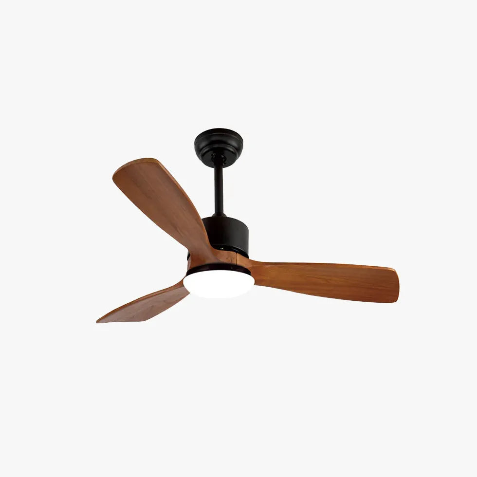 Ceiling Fan With Light For Study Room Haydn Metal Ip20