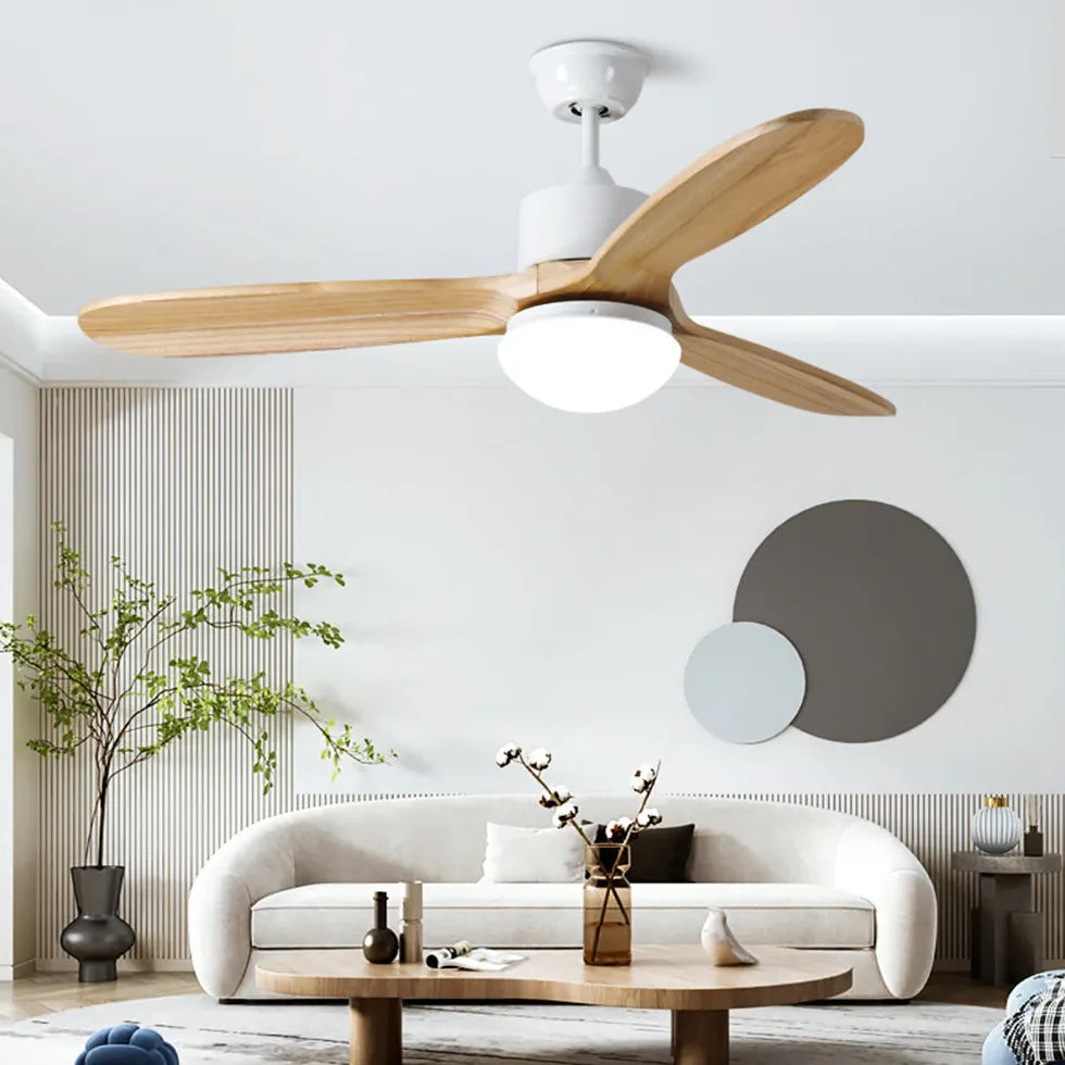 Ceiling Fan With Light For Study Room Haydn Metal Ip20