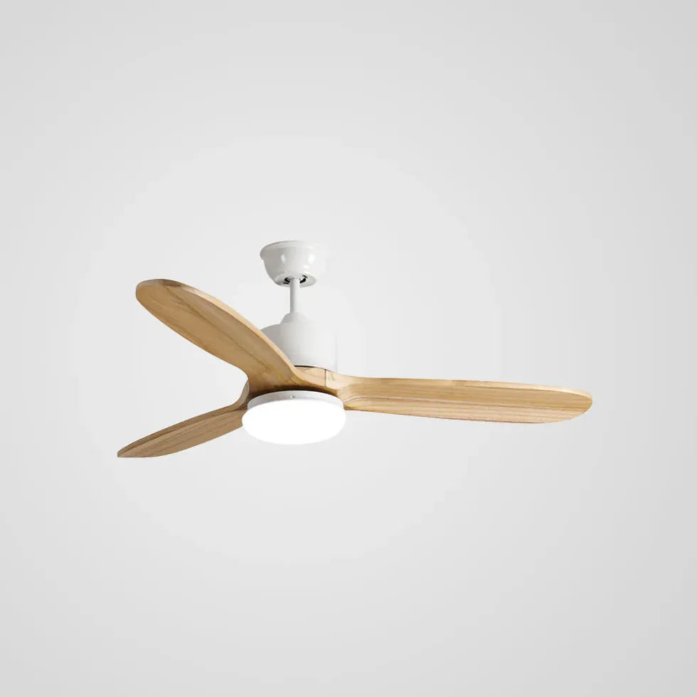 Ceiling Fan With Light For Study Room Haydn Metal Ip20