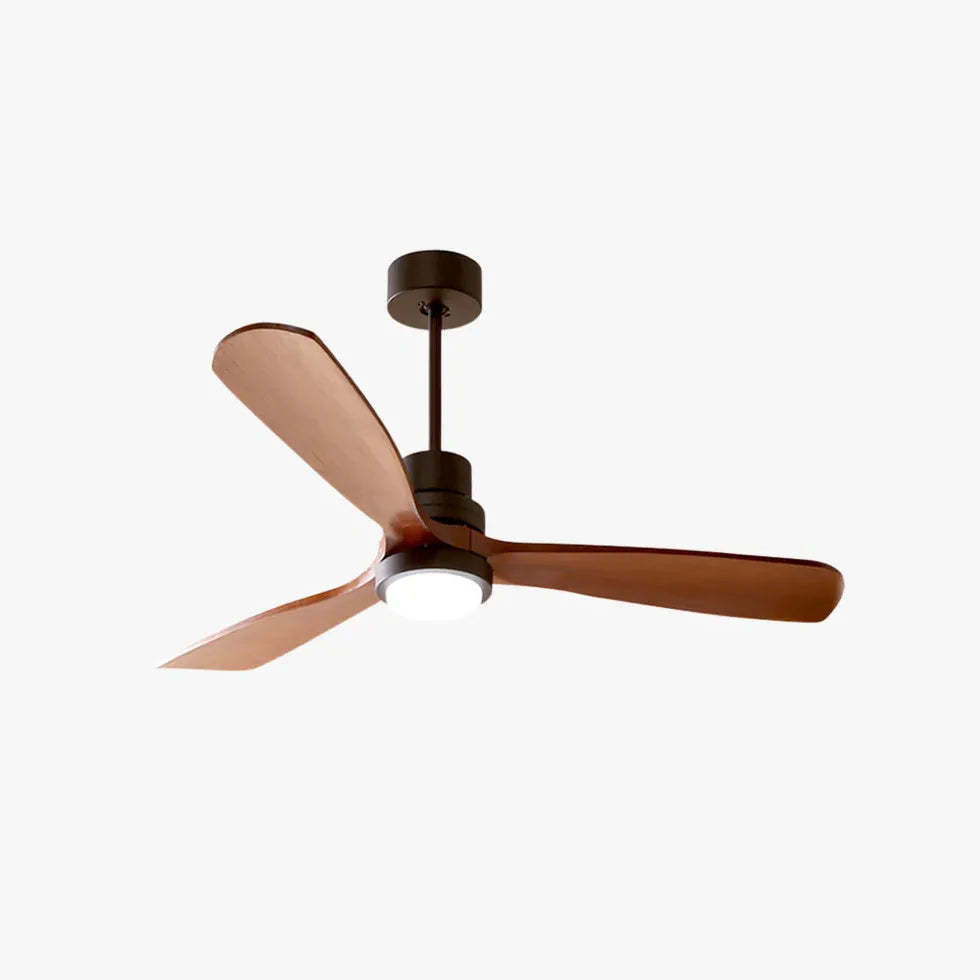 Black Ceiling Fan With Light For Study Room Haydn Metal Dimmable