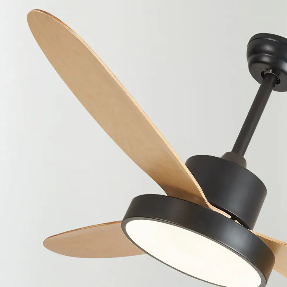 Black Ceiling Fan With Light For Study Room Morandi Metal Dimmable Ip20