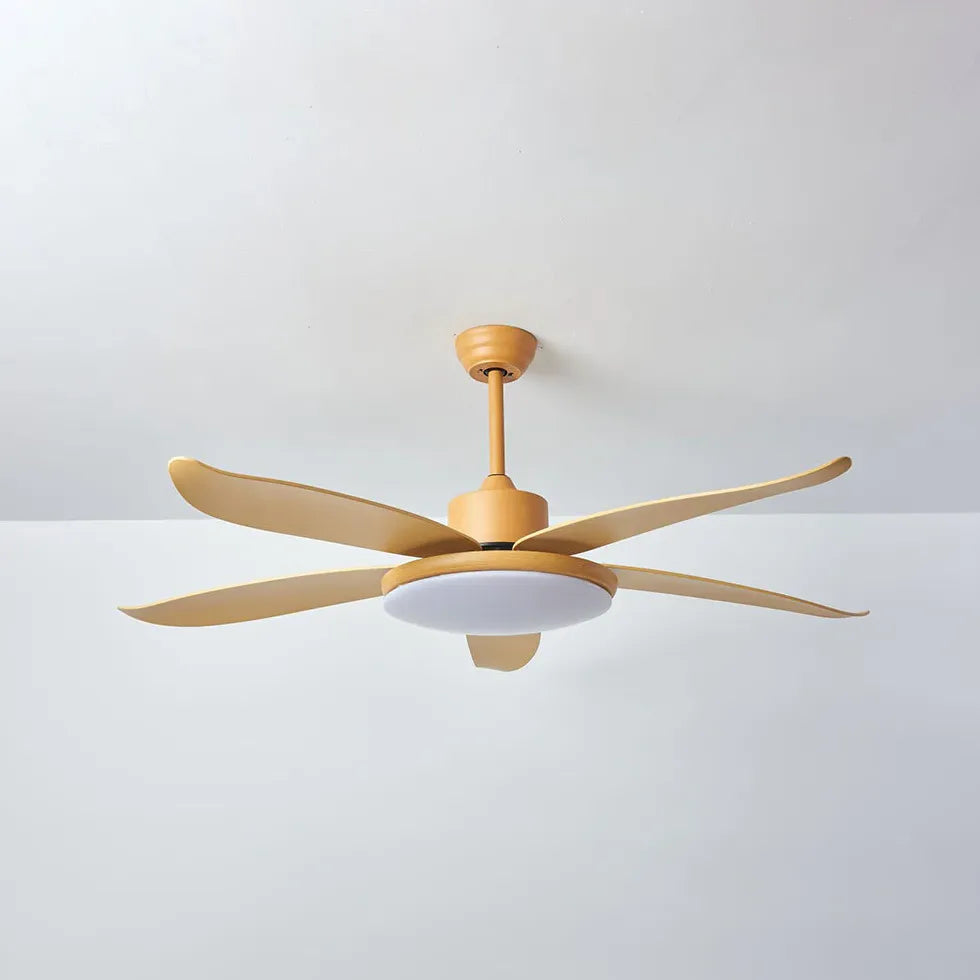 Ceiling Fan With Light For Study Room Haydn Metal & Acrylic Dimmable