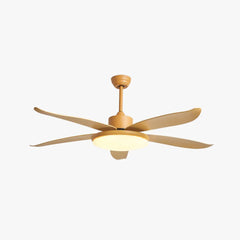 Ceiling Fan With Light For Study Room Haydn Metal & Acrylic Dimmable