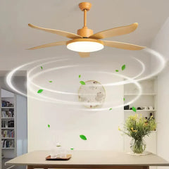 Ceiling Fan With Light For Study Room Haydn Metal & Acrylic Dimmable