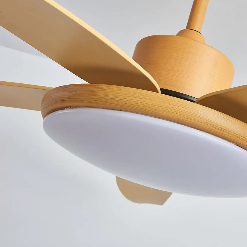 Ceiling Fan With Light For Study Room Haydn Metal & Acrylic Dimmable