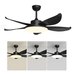 Black Ceiling Fan With Light For Study Room Haydn Metal