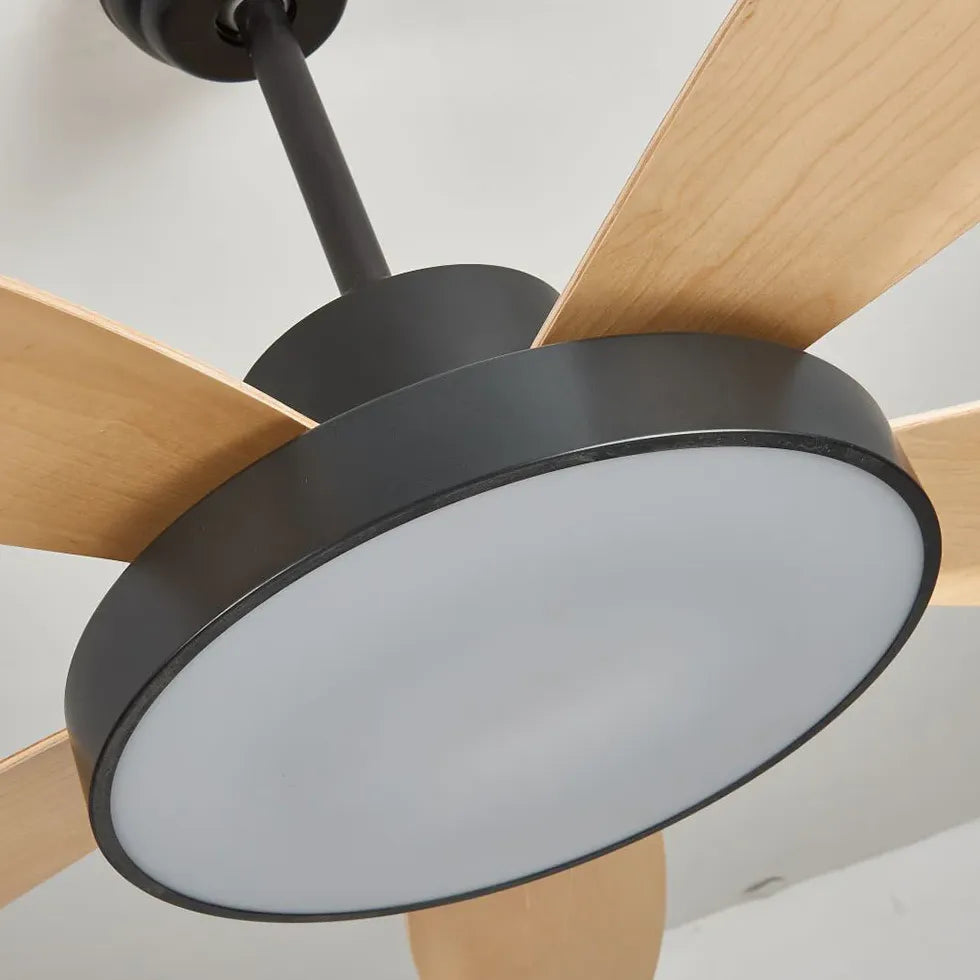 Black Ceiling Fan With Light For Study Room Haydn Metal Ip20 Dimmable