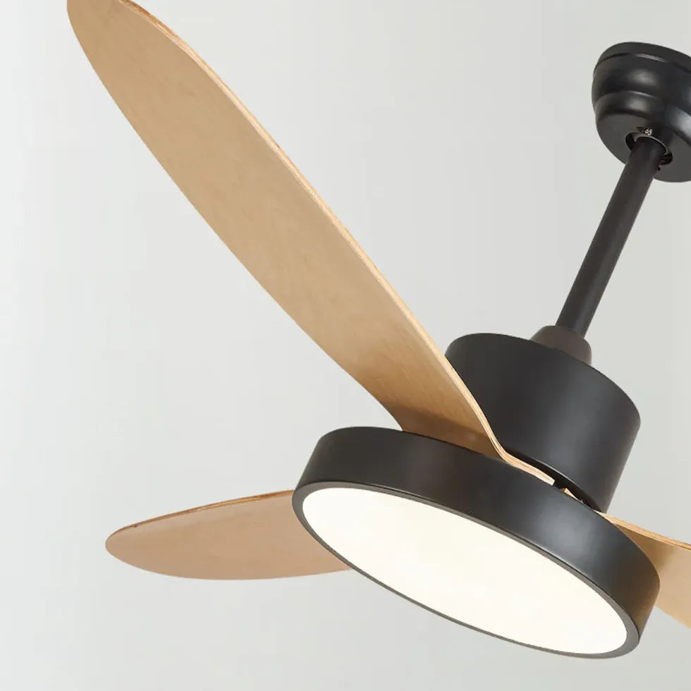 Black Ceiling Fan With Light For Study Room Haydn Metal Ip20 Dimmable