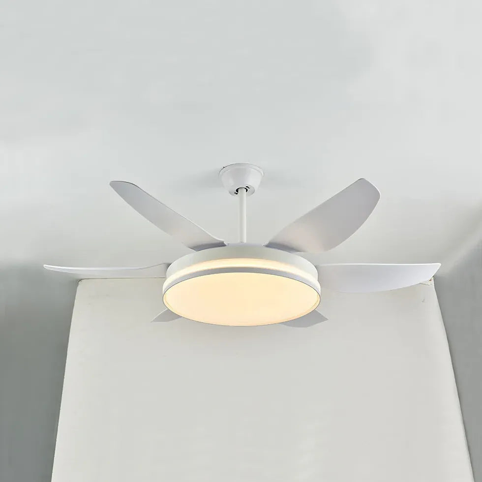 Black Ceiling Fan With Light For Study Room Haydn Metal Dimmable Ip20 Led