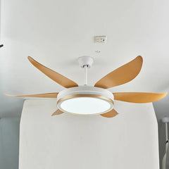 Ceiling Fan With Light For Study Room Haydn Metal & Acrylic Three Colours Change With Remote Ccontrol Ip20