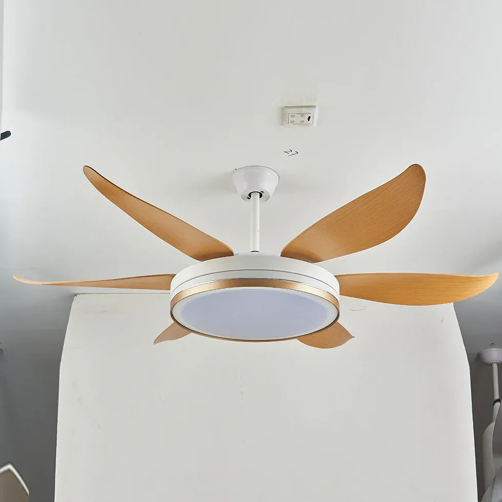 Ceiling Fan With Light For Study Room Haydn Metal & Acrylic Three Colours Change With Remote Ccontrol Ip20