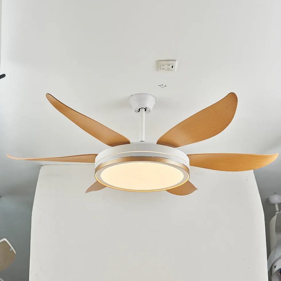 Ceiling Fan With Light For Study Room Haydn Metal & Acrylic Three Colours Change With Remote Ccontrol Ip20