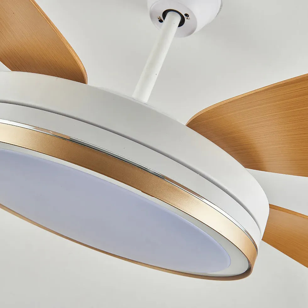 Ceiling Fan With Light For Study Room Haydn Metal & Acrylic Three Colours Change With Remote Ccontrol Ip20