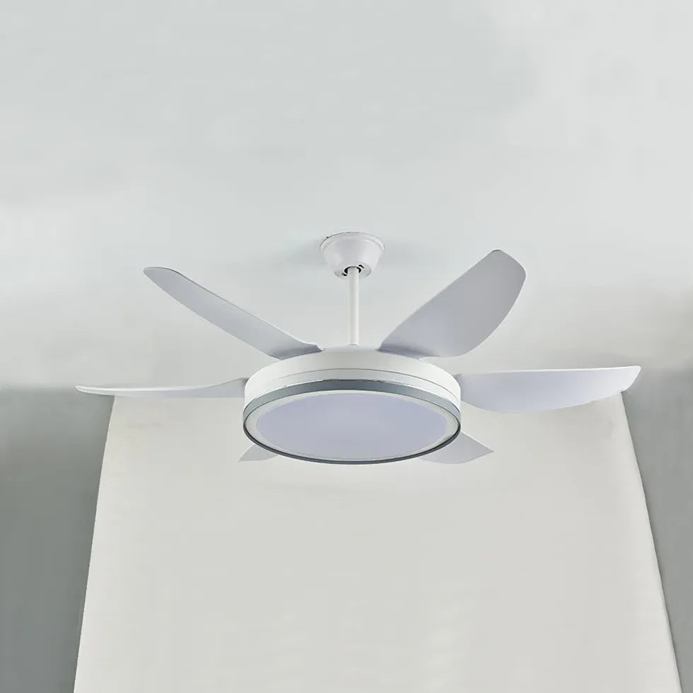 Black Ceiling Fan With Light For Study Room Haydn Metal Ip20 Dimmable