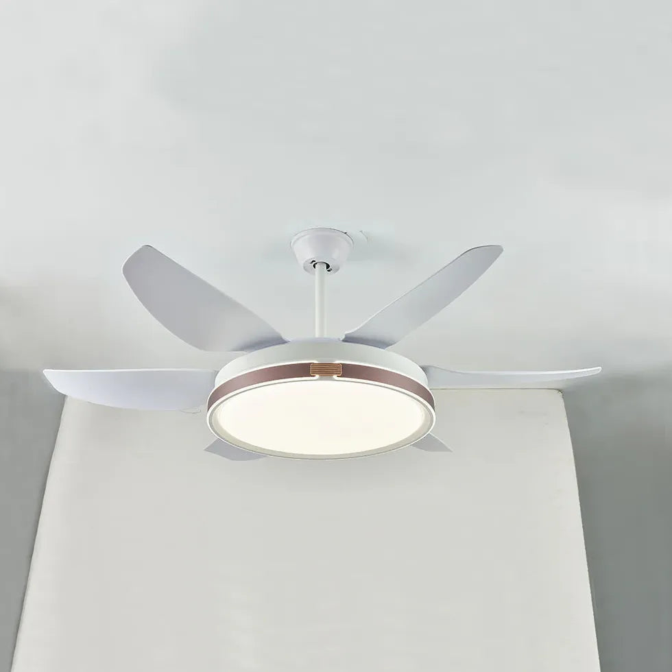 Ceiling Fan With Light For Study Room Haydn Metal Dimmable Ip20 Led