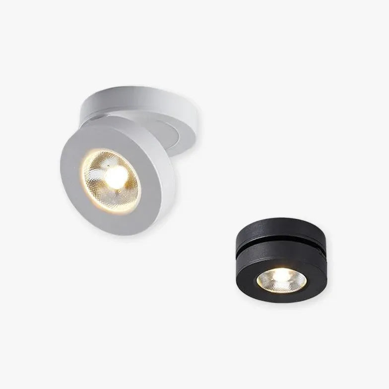 Flush Light For Kitchen Round Modern Aluminum Led