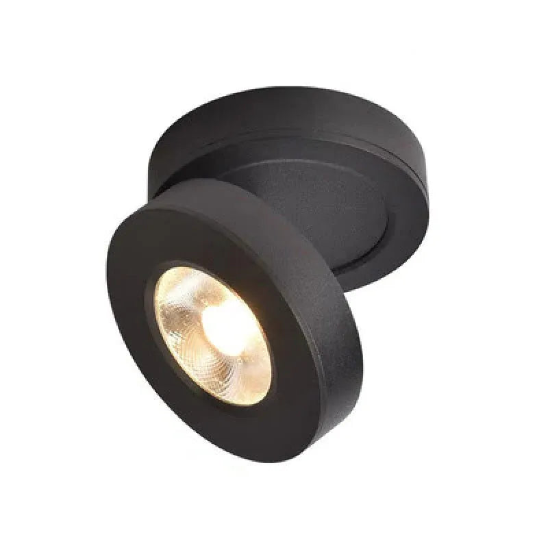 Flush Light For Kitchen Round Modern Aluminum Led