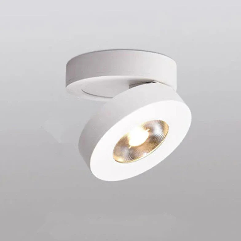 Flush Light For Kitchen Round Modern Aluminum Led