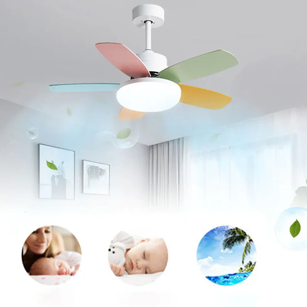 Ceiling Fan With Light For Study Room Morandi Metal & Abs Led