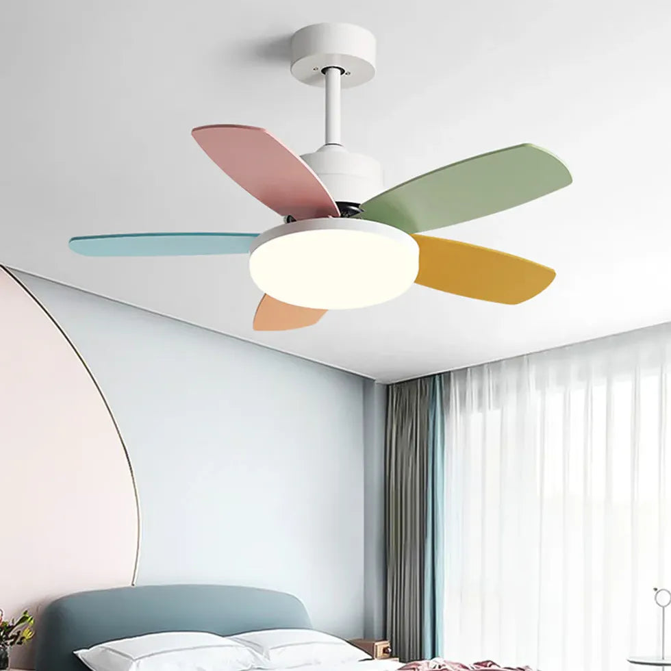 Ceiling Fan With Light For Study Room Morandi Metal & Abs Led