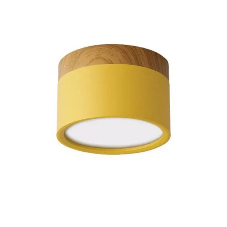 Flush Light For Bedroom Morandi Metal & Acrylic Led Warm White Ip20