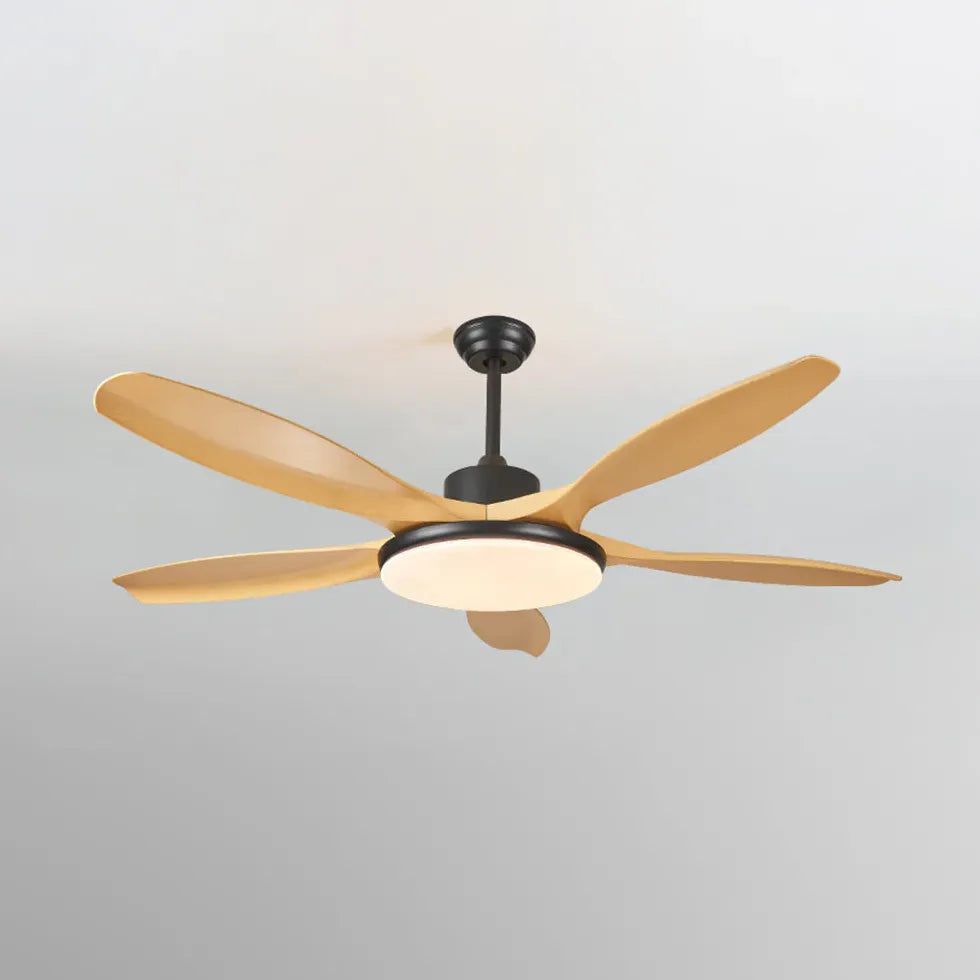 Ceiling Fan With Light For Study Room Ozawa Metal Ip20