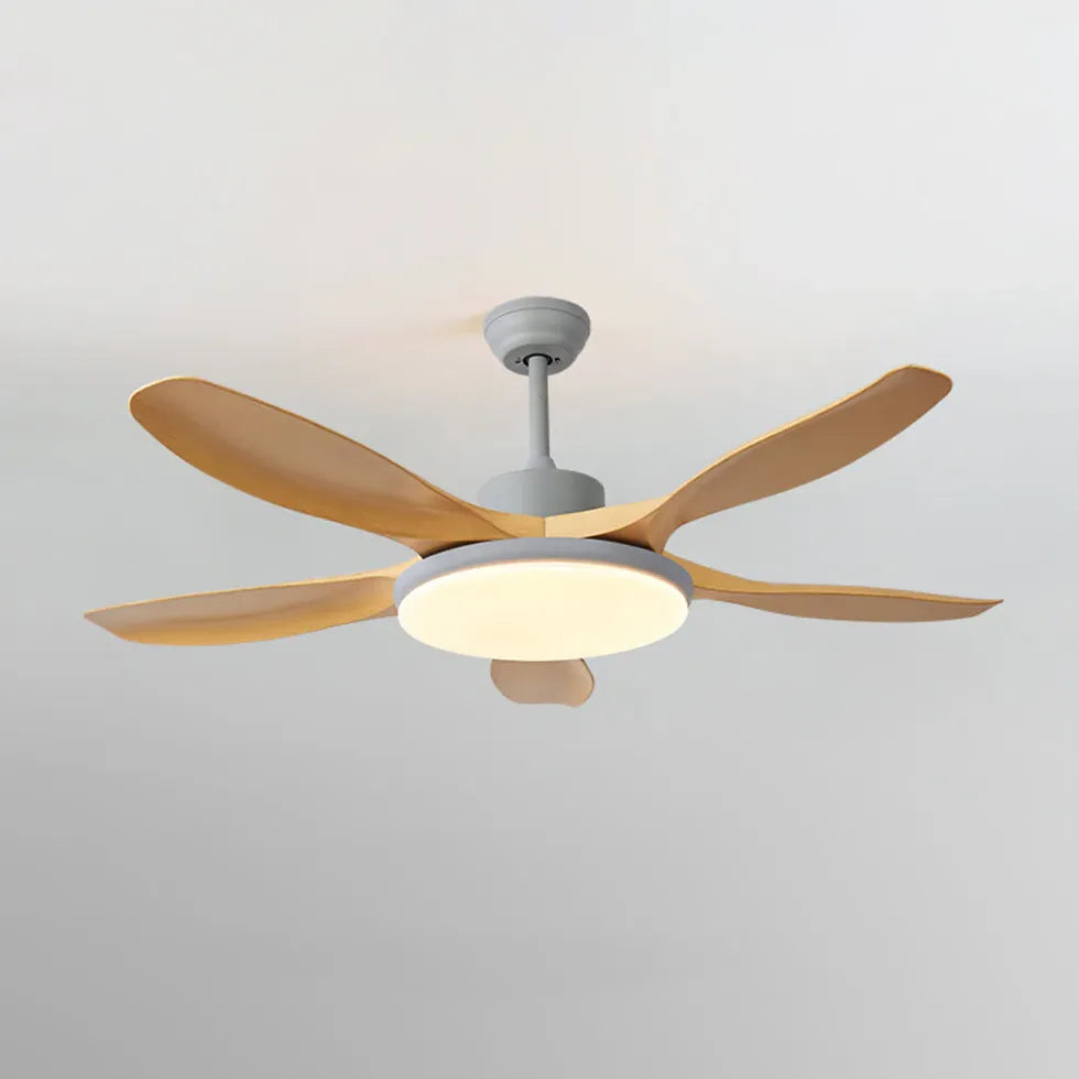 Ceiling Fan With Light For Study Room Ozawa Metal Ip20