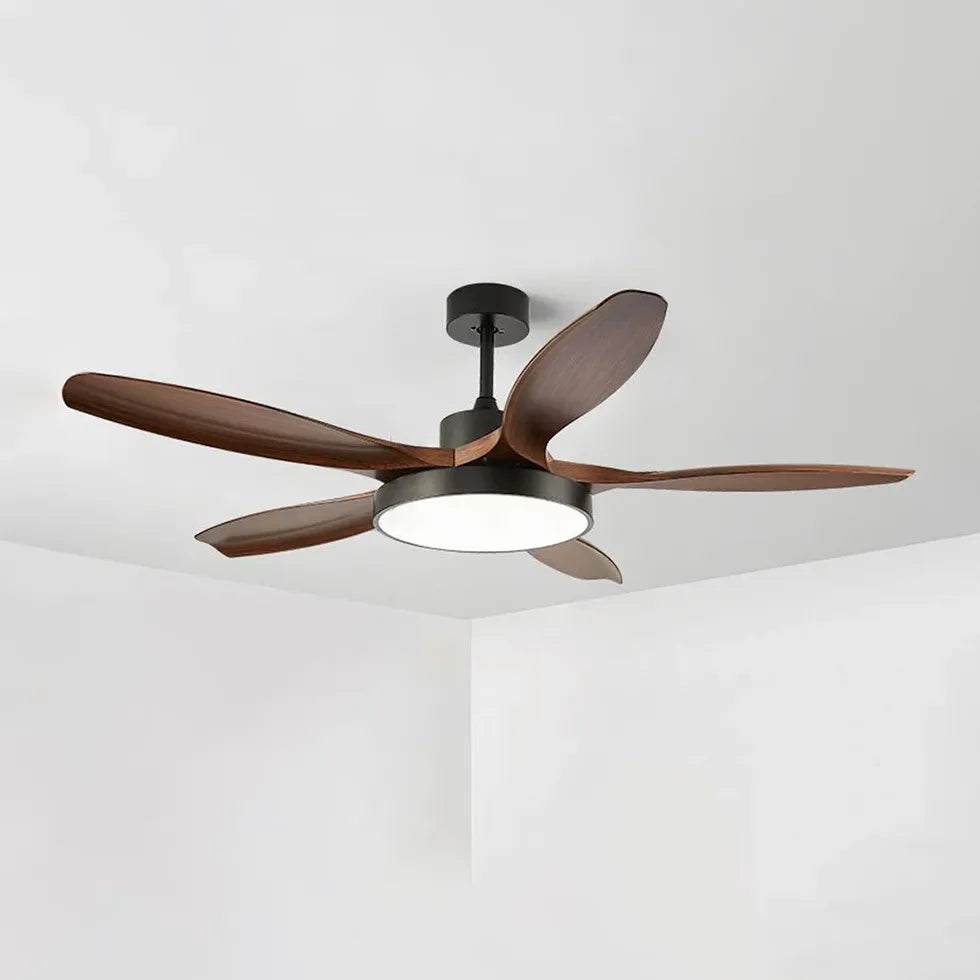 Black Ceiling Fan With Light For Study Room Ozawa Metal Ip20 Dimmable