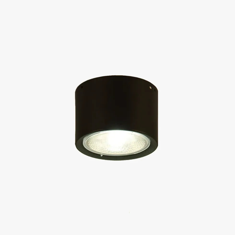 Black Flush Light For Bedroom Round Ozawa Metal Warm White Led Ip20