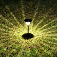 Black Decorative Solar Light Pena Metal Outdoor Led Ip65 Cool White