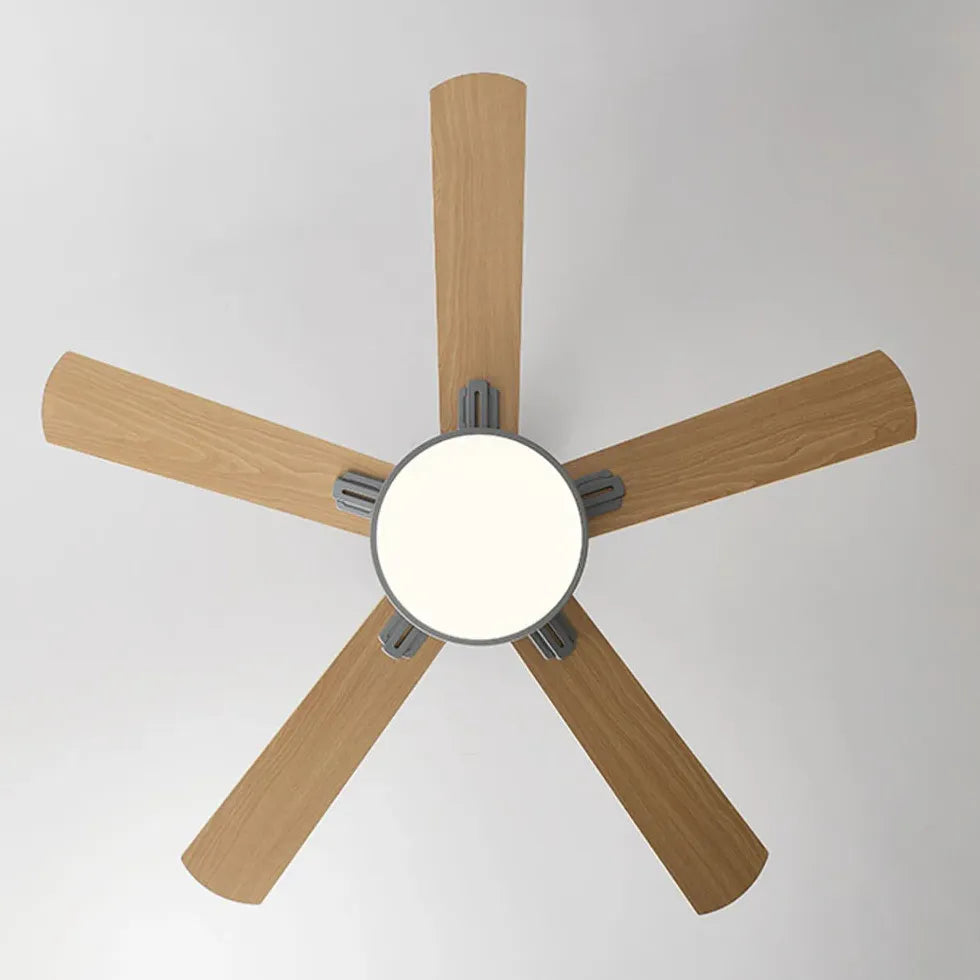 Ceiling Fan With Light For Study Room Walters Metal Ip20